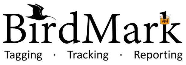 logoBirdmark